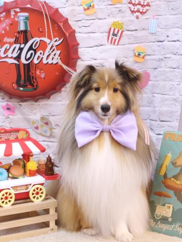 20230926ノアくん